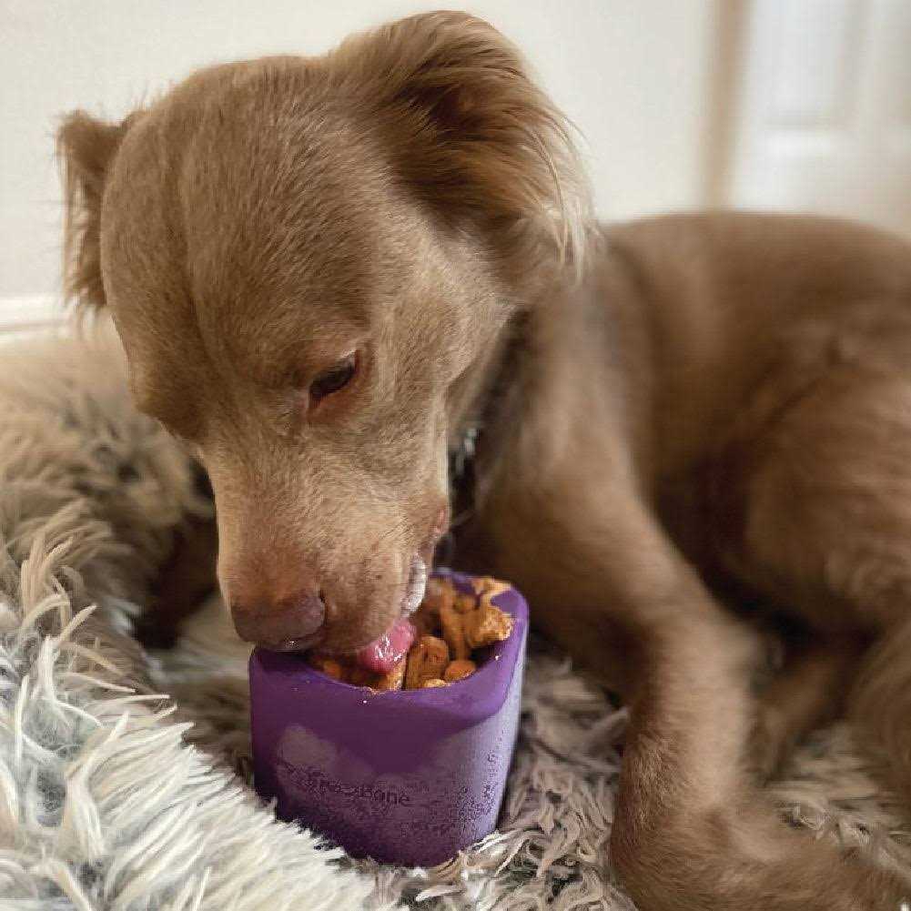 Freezbox UP TO 140LBS DOGS - Nail Gallerys