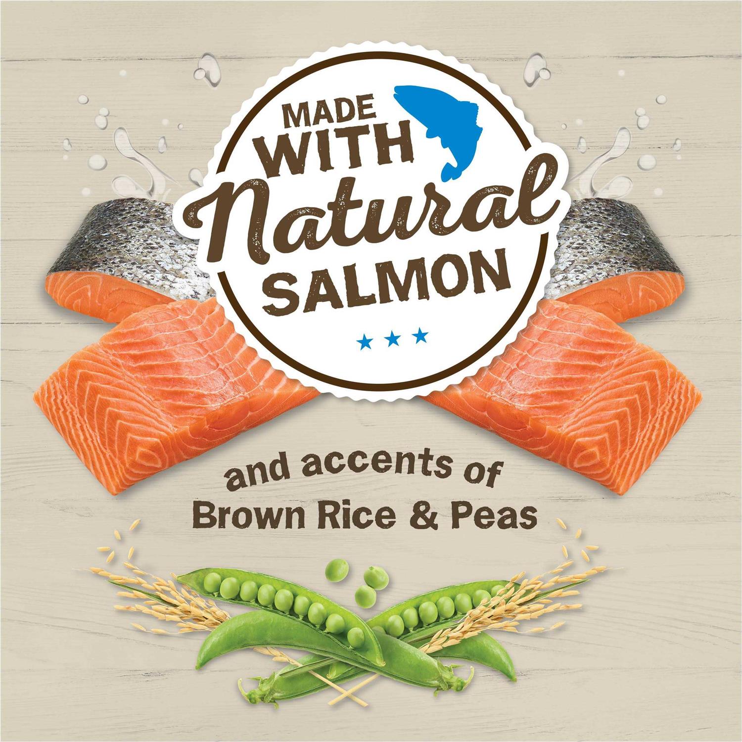 Friskies Ocean Favorites Dry Cat Food With Natural Salmon - Nail Gallerys