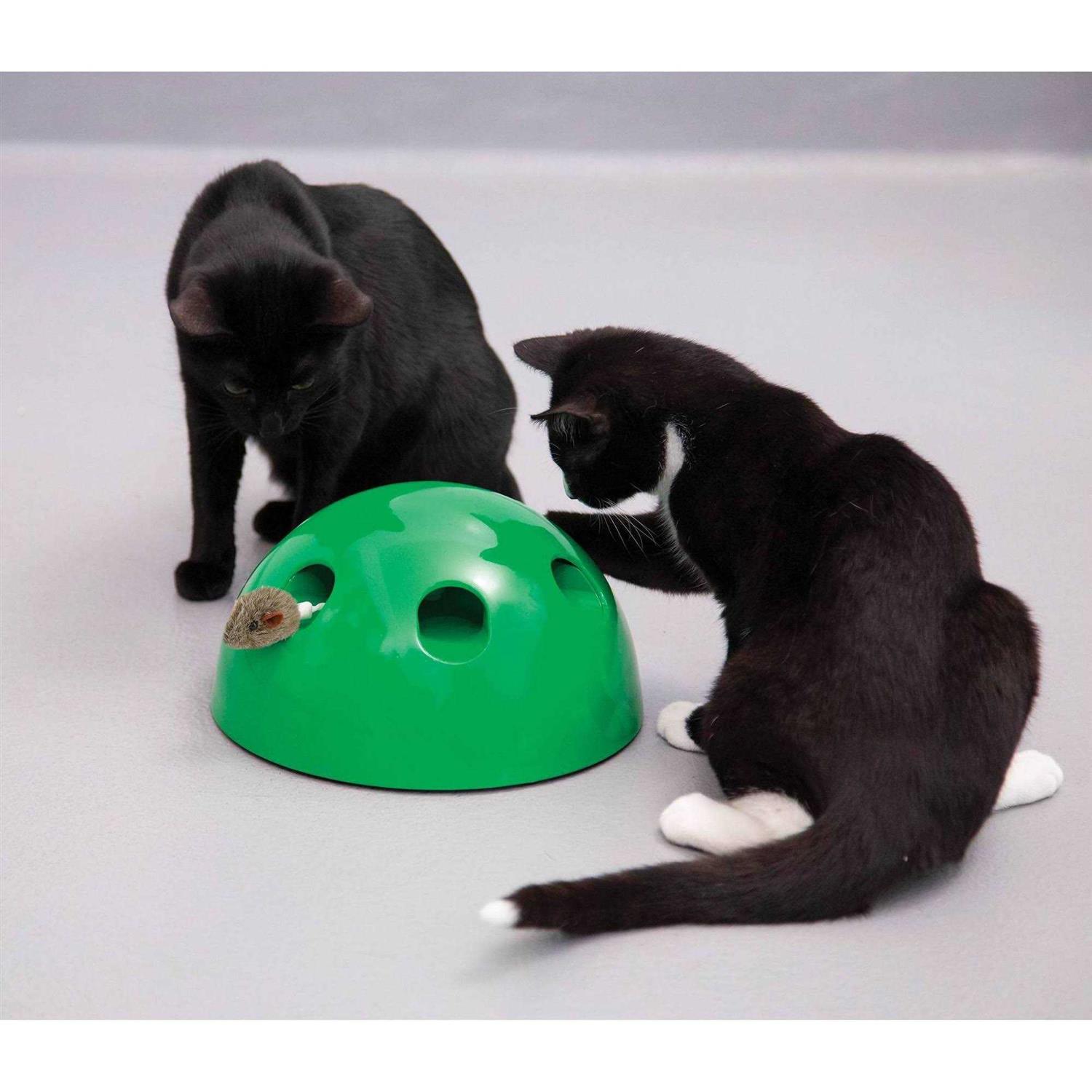 Pop N Play Cat Toy - Nail Gallerys