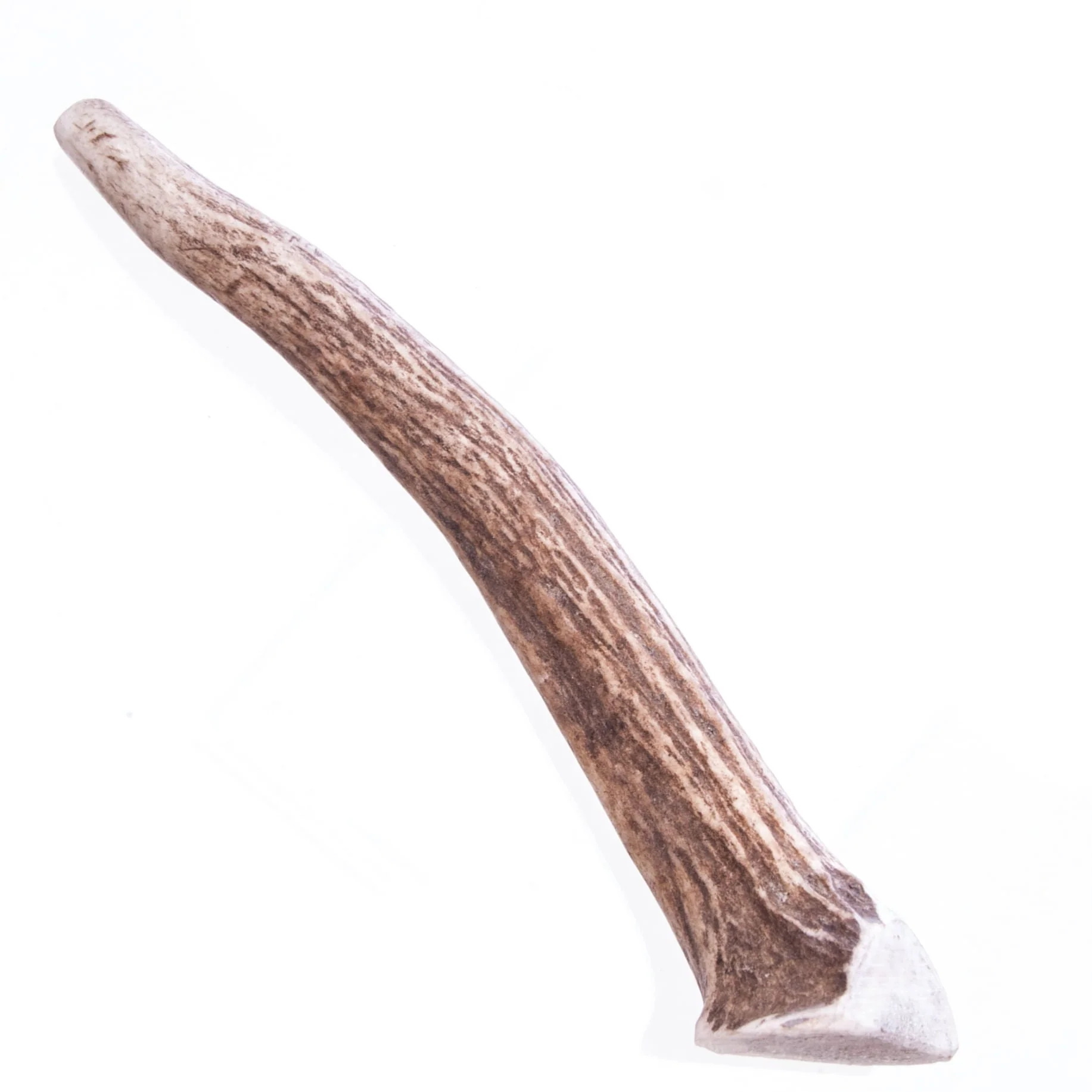Big Sky Antler Chews, Singles - Nail Gallerys