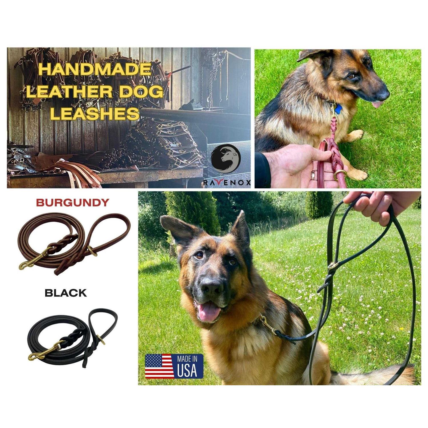 Ravenox 6 FT Braided Leather Dog Leash - Nail Gallerys