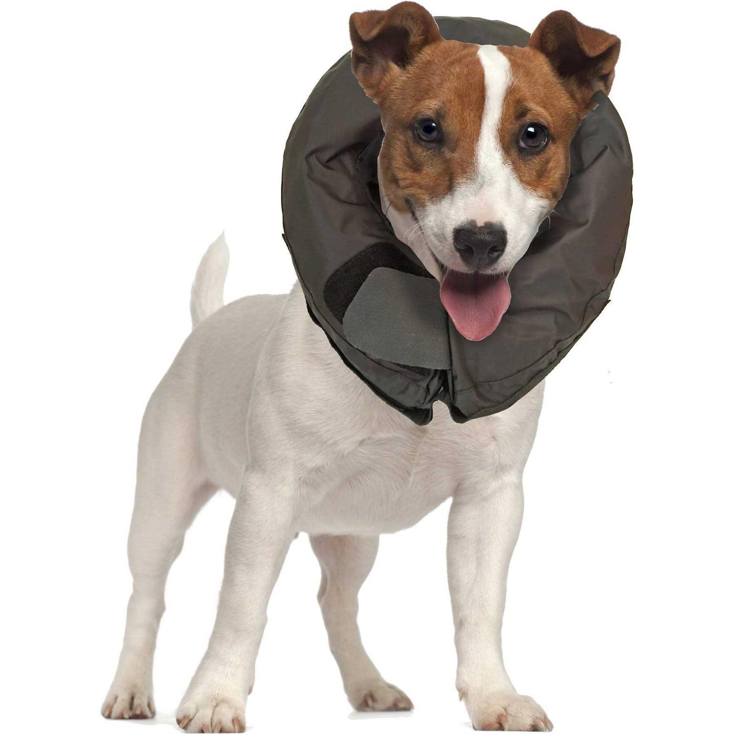 Vet Worthy Inflatable Protective Dog Collar - Nail Gallerys