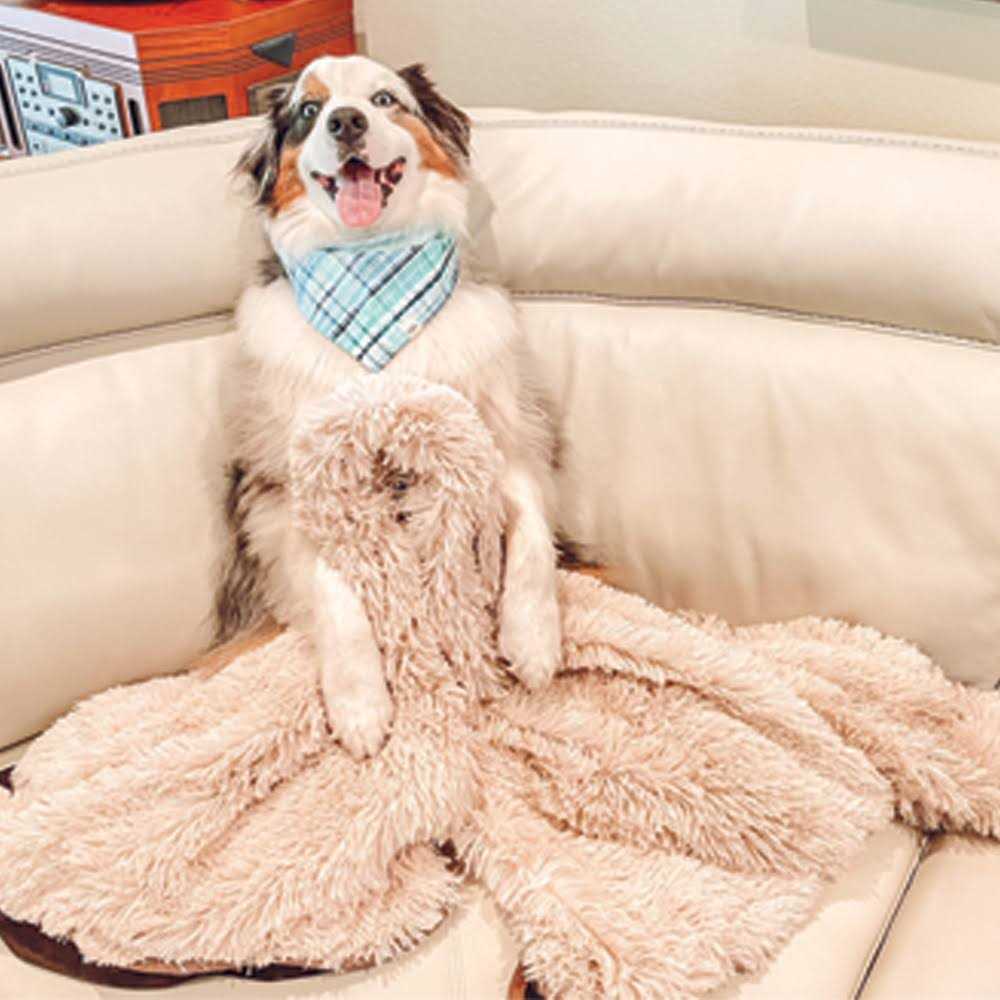 PawProof Throw Blanket - Nail Gallerys