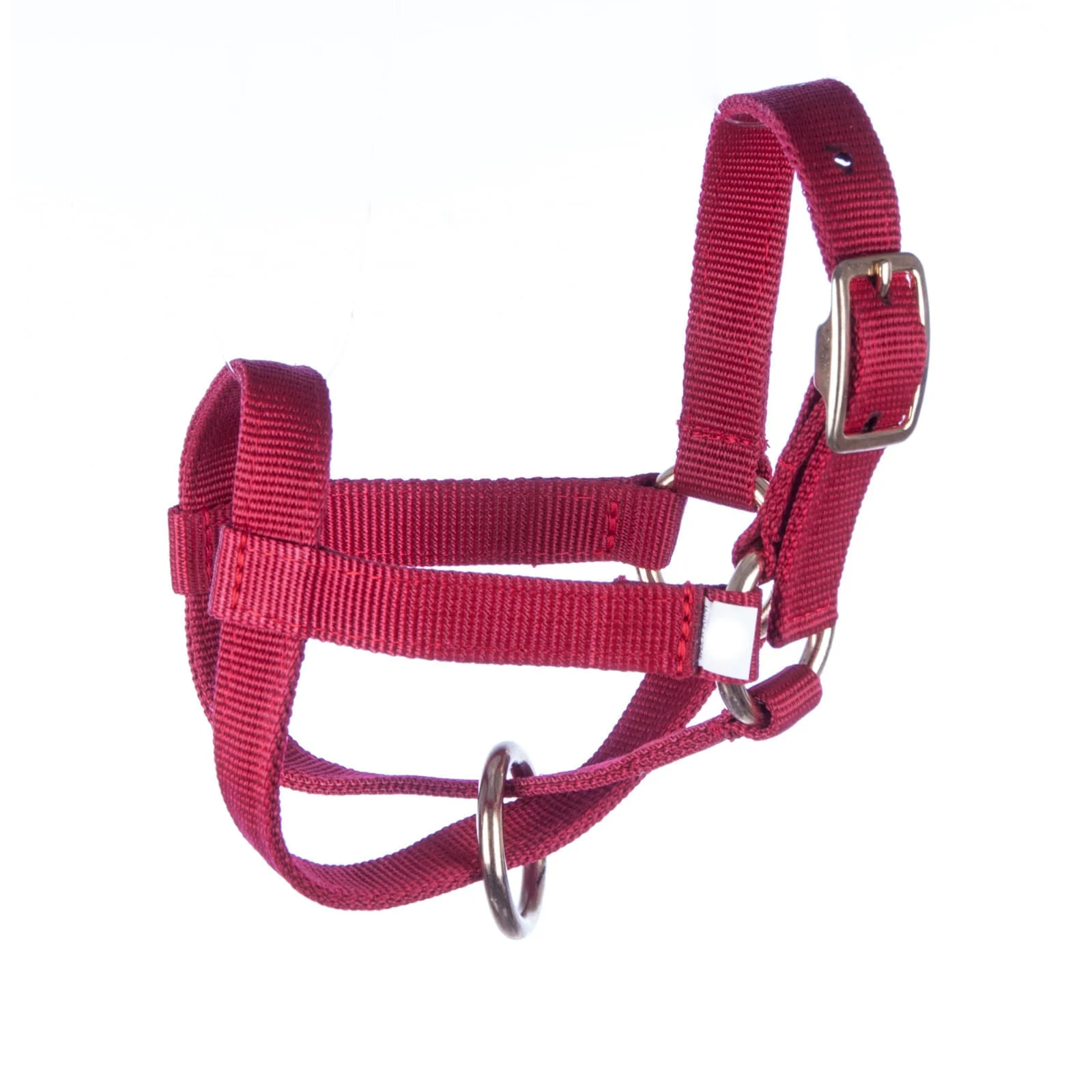 Goat Halter - Nail Gallerys