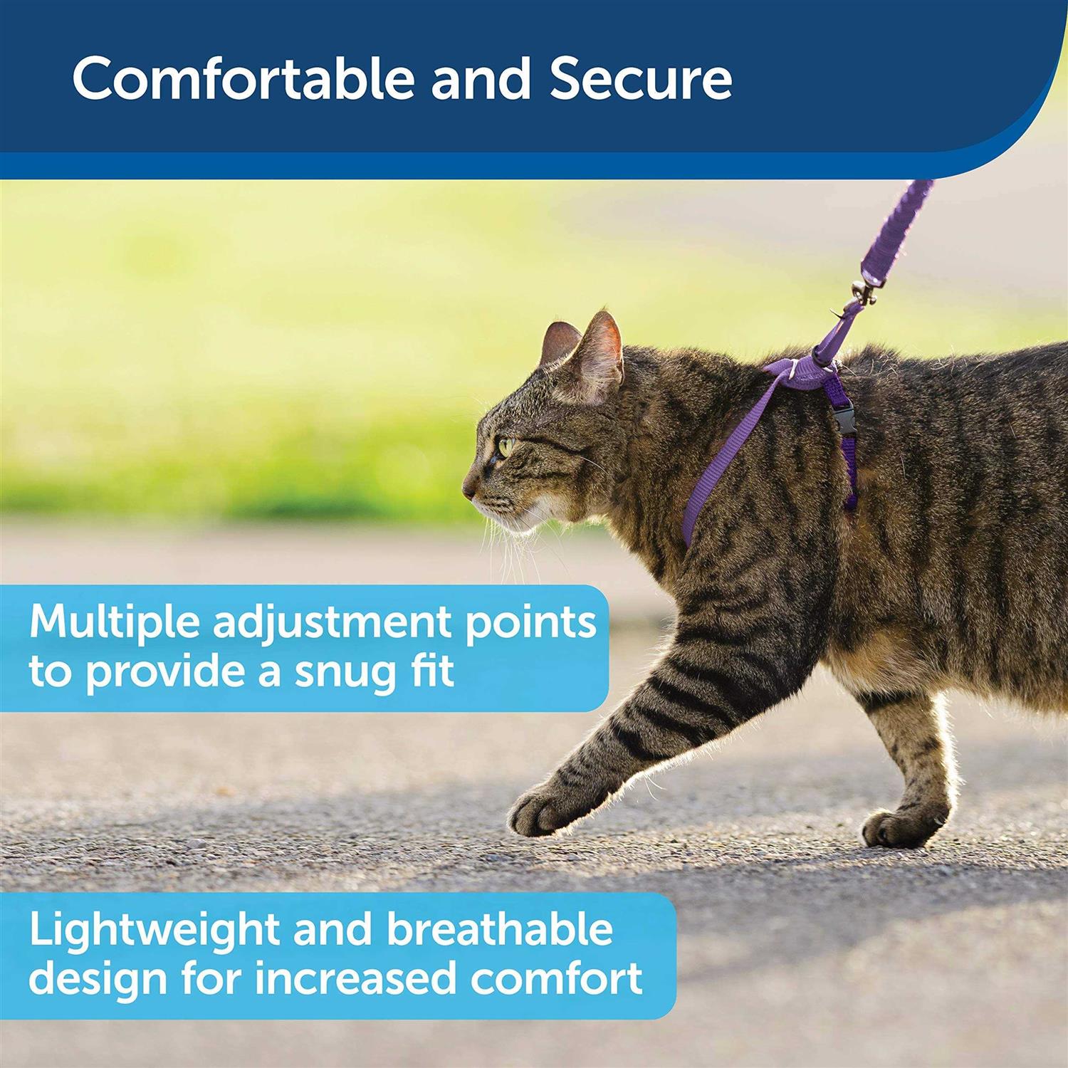 PetSafe Come with Me Kitty Harness Bungee Leash - Nail Gallerys