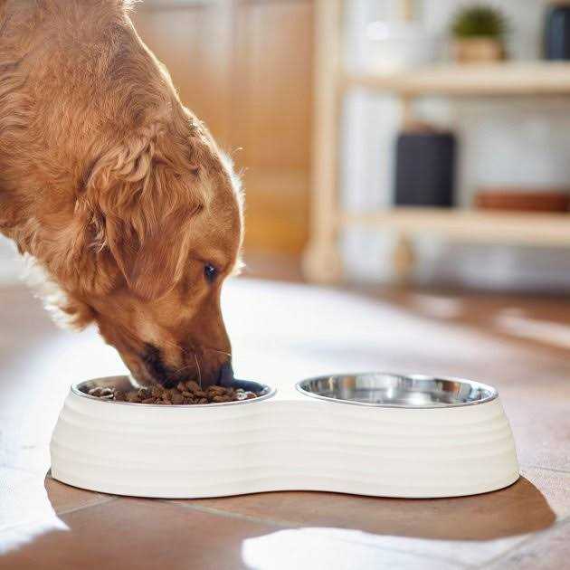 Frisco Stainless Steel Double Dog Bowls with Melamine Stand - Nail Gallerys