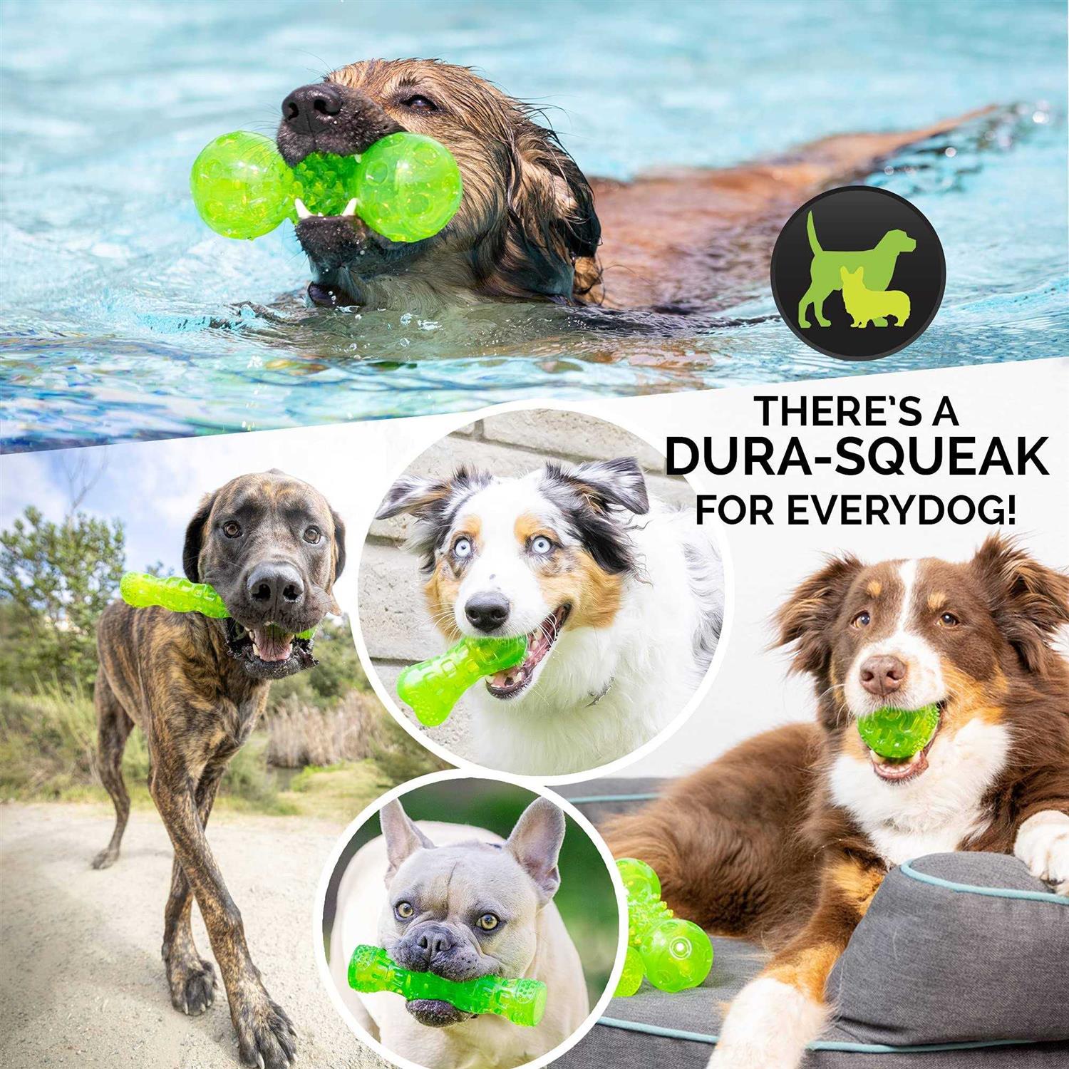 Hyper Pet Dura-Squeaks Dog Toy Ball - Nail Gallerys