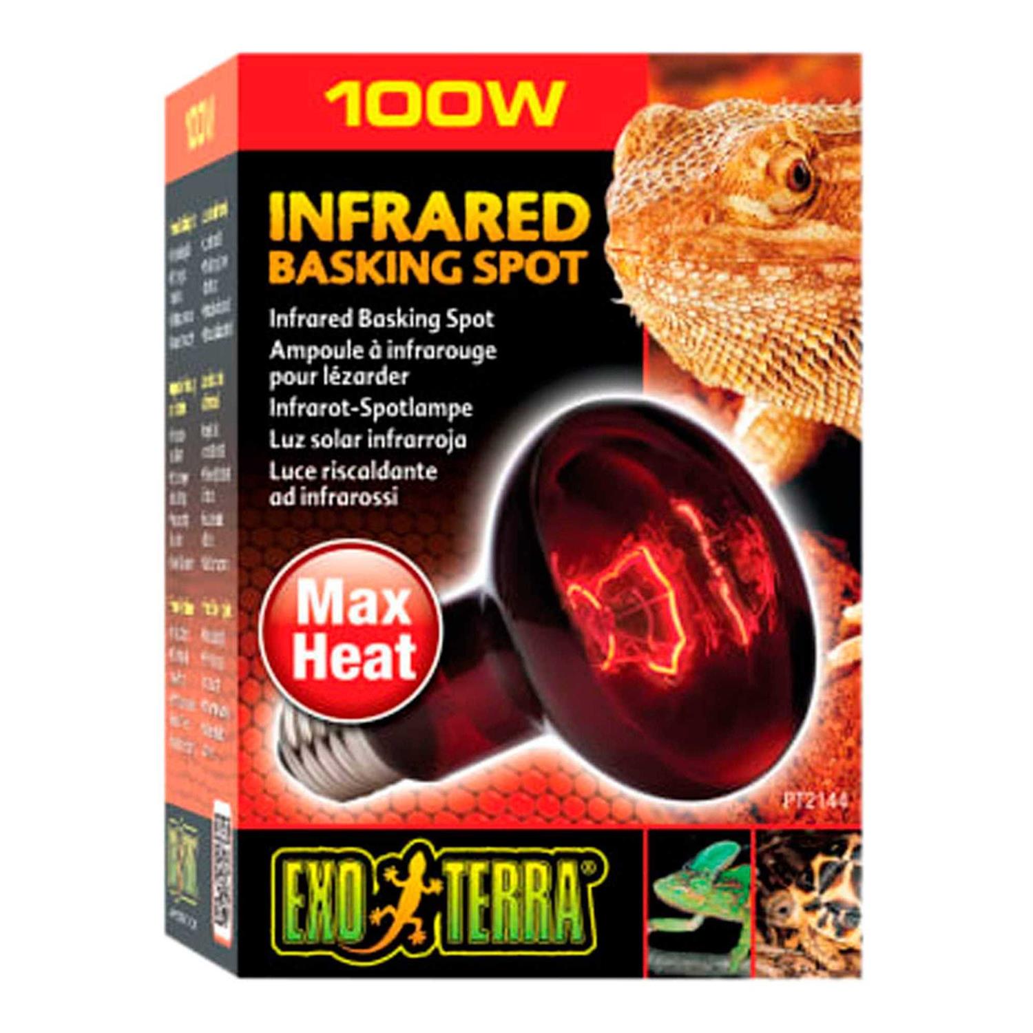 Exo Terra Heat-Glo Infrared Spot Lamp - Nail Gallerys
