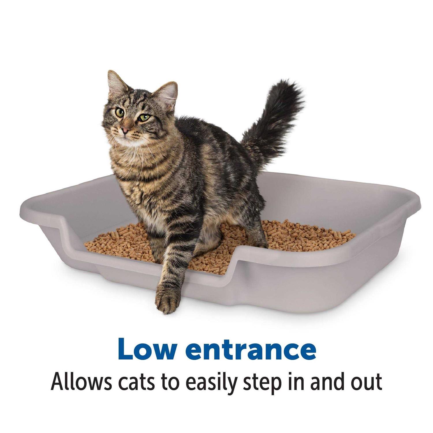 NE14pets KittyGoHere Litter Box for Senior cats That cant cope with a Traditional Litter Box Large Box Misty gray - Nail Gallerys