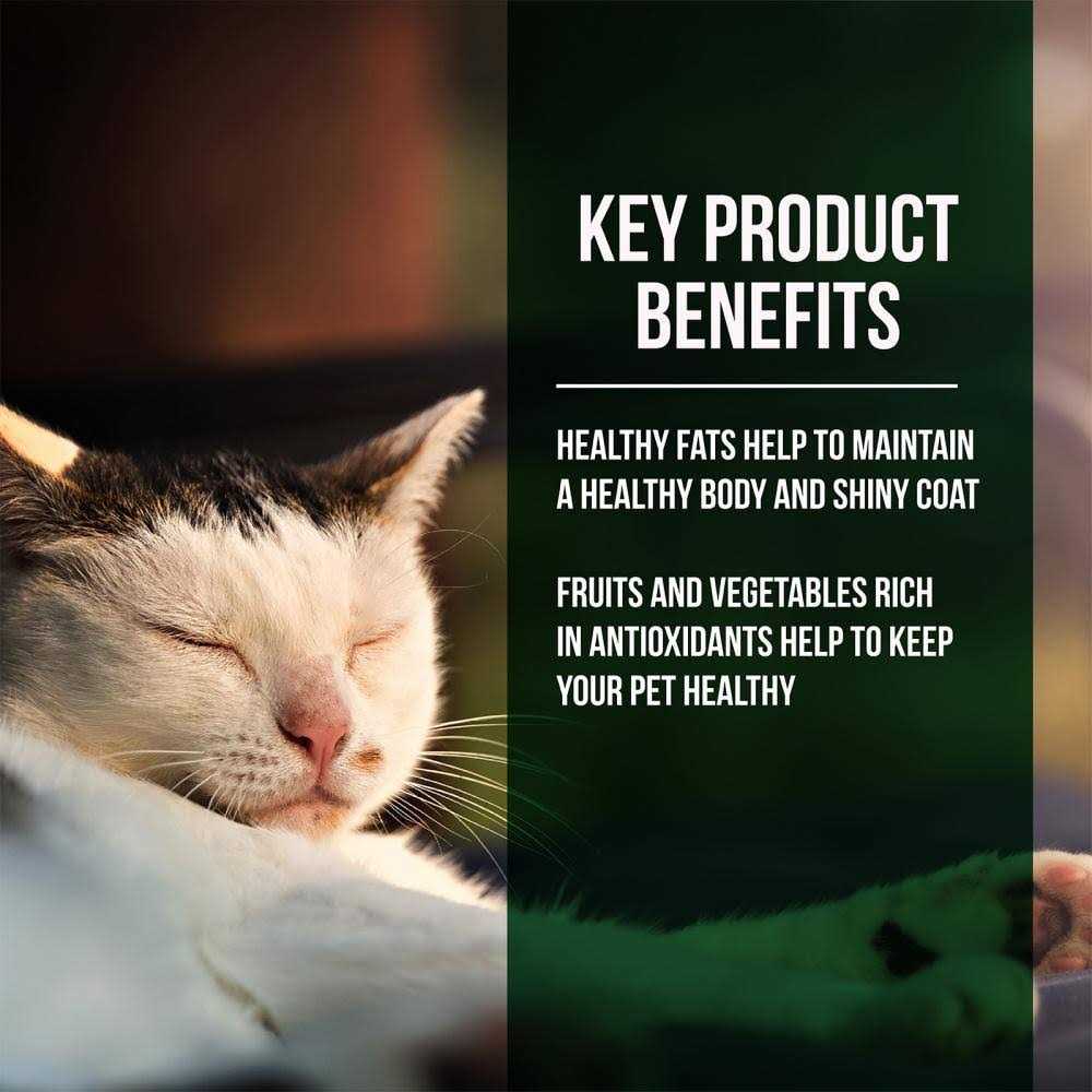 Fussie Cat Market Fresh Salmon Chicken Dry Cat Food - Nail Gallerys