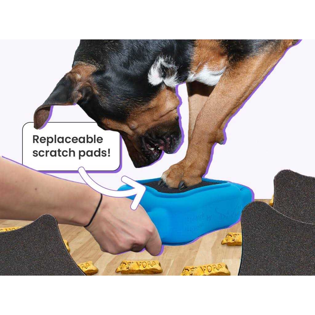de’ Vora Scratch Square Dog & Cat Grooming Toy - Nail Gallerys