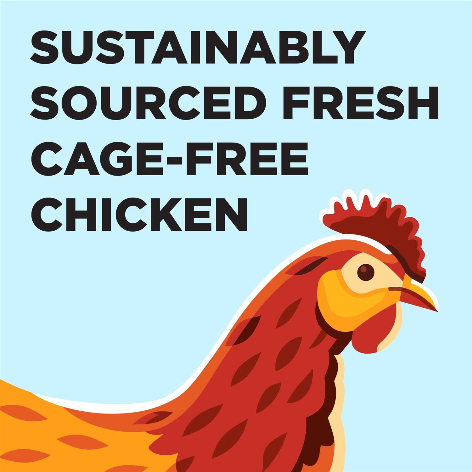 BIXBI Liberty Chicken Recipe Dry Cat Food - Nail Gallerys