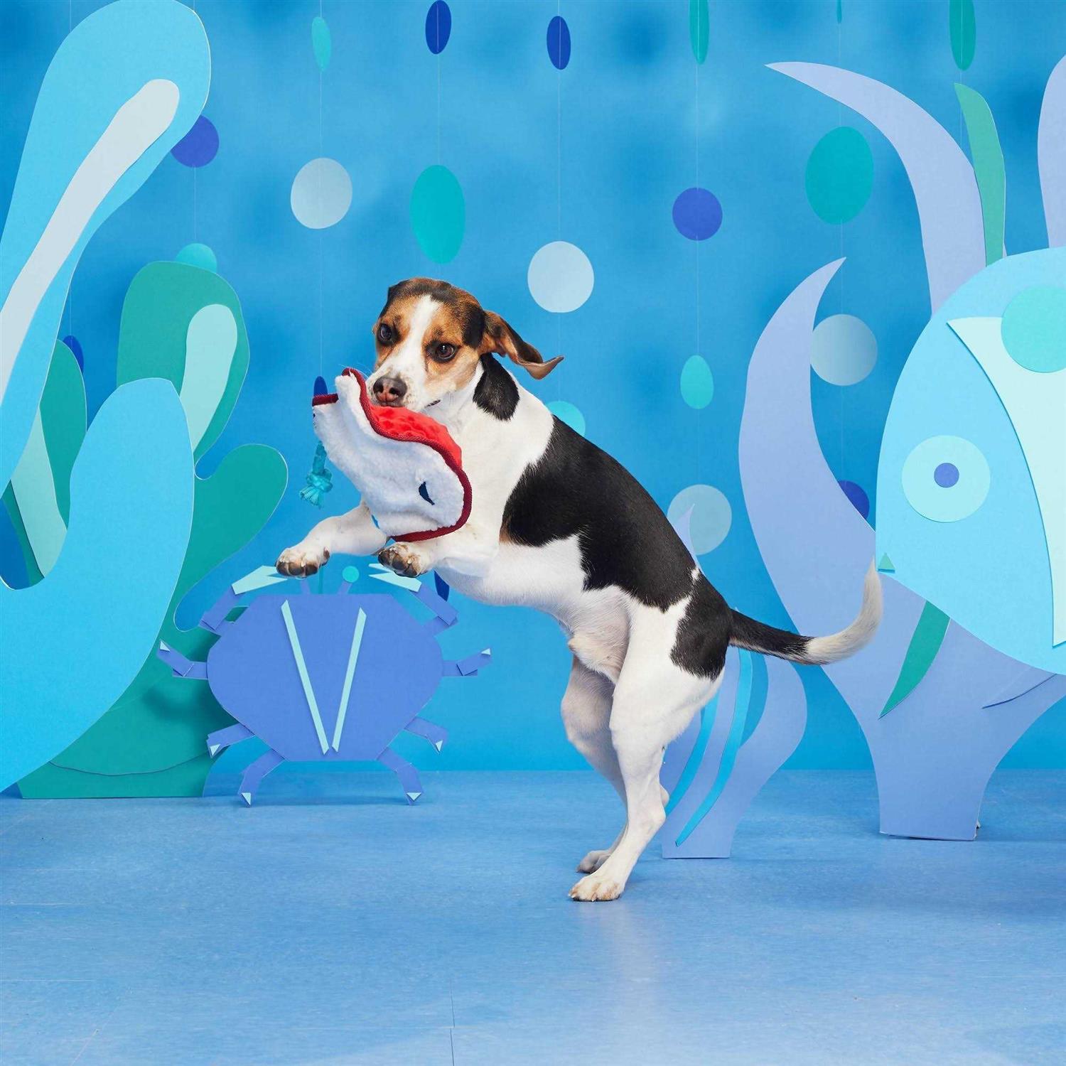 BARK Sting Crosby the Ray Dog Toy - Nail Gallerys