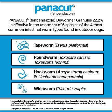Panacur Canine Granules 22.2% - Nail Gallerys