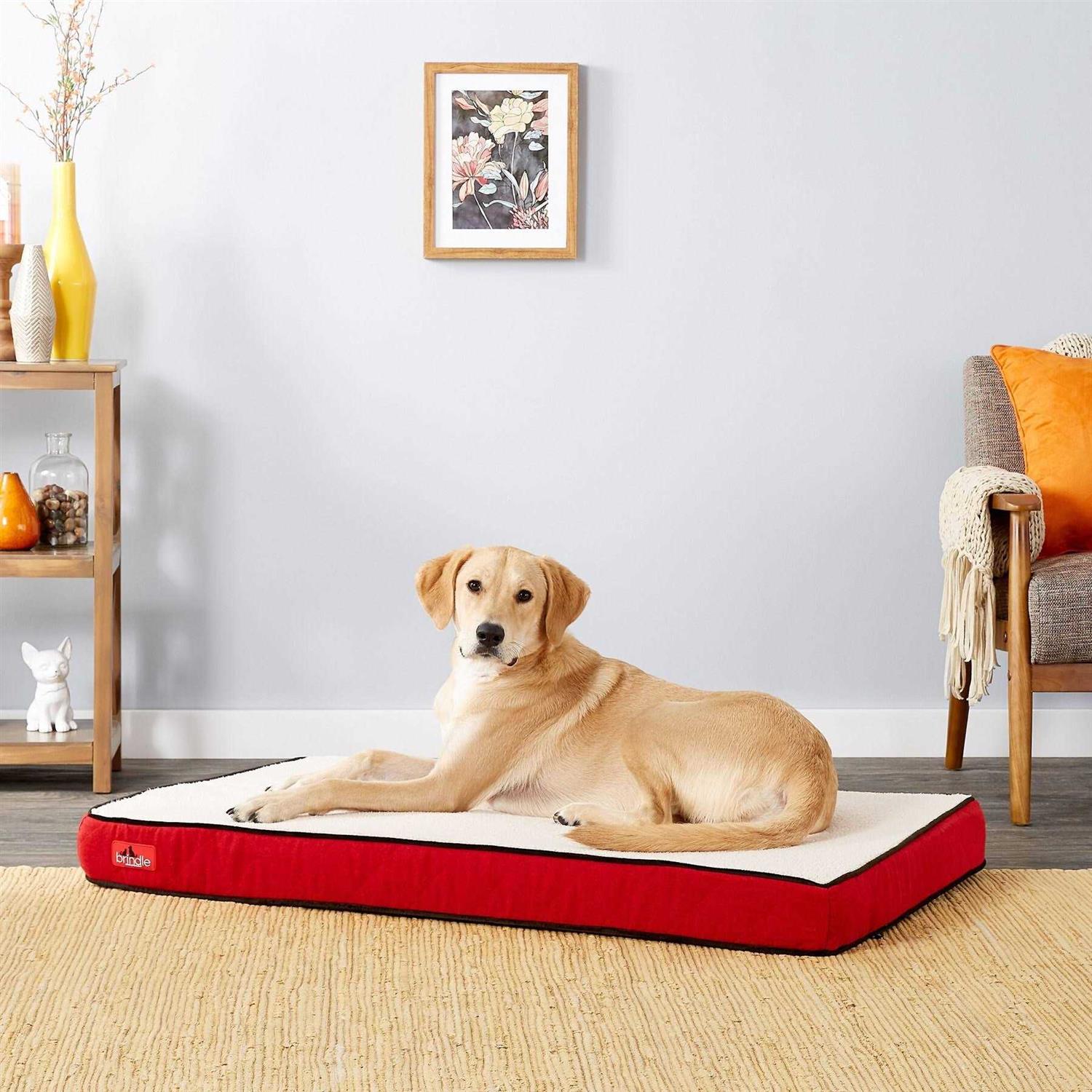 Brindle Waterproof Designer Memory Foam Pet Bed - Nail Gallerys