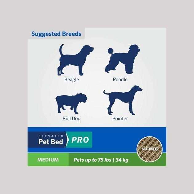 Coolaroo Cooling Elevated Pet Bed Pro - Nail Gallerys