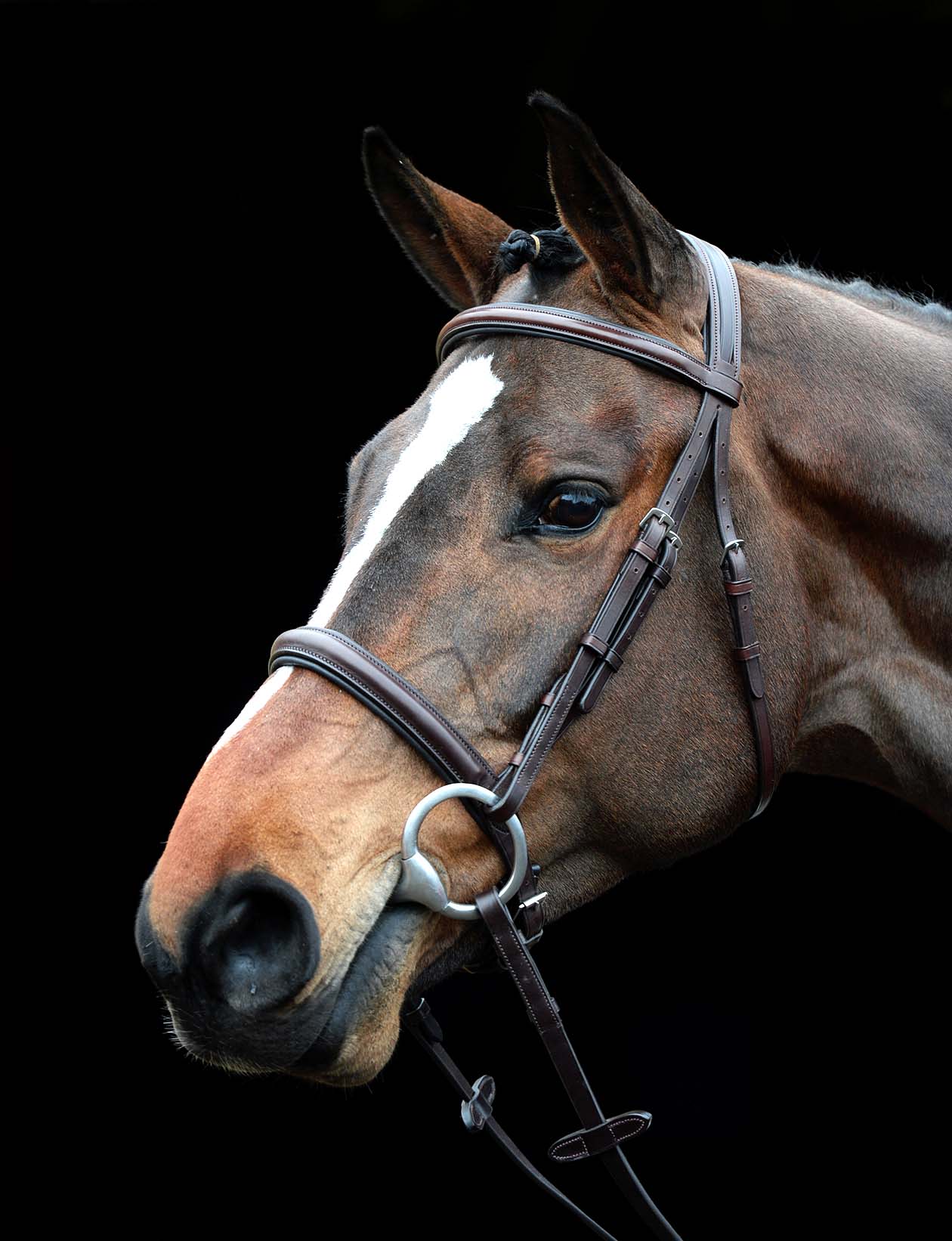 Collegiate Comfort Crown Padded Raised Cavesson Bridle - Nail Gallerys