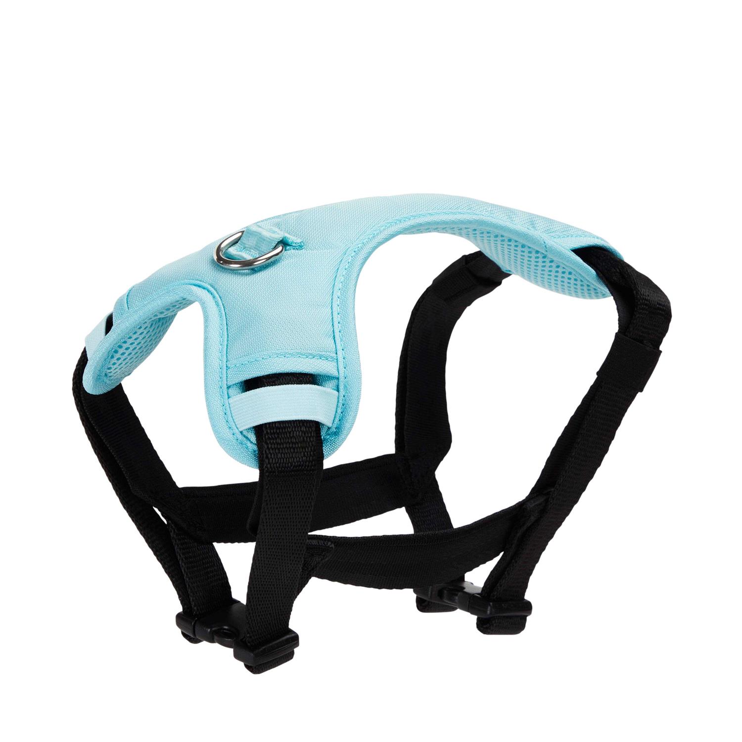 EveryYay Teal Crash Test Dog Harness - Nail Gallerys