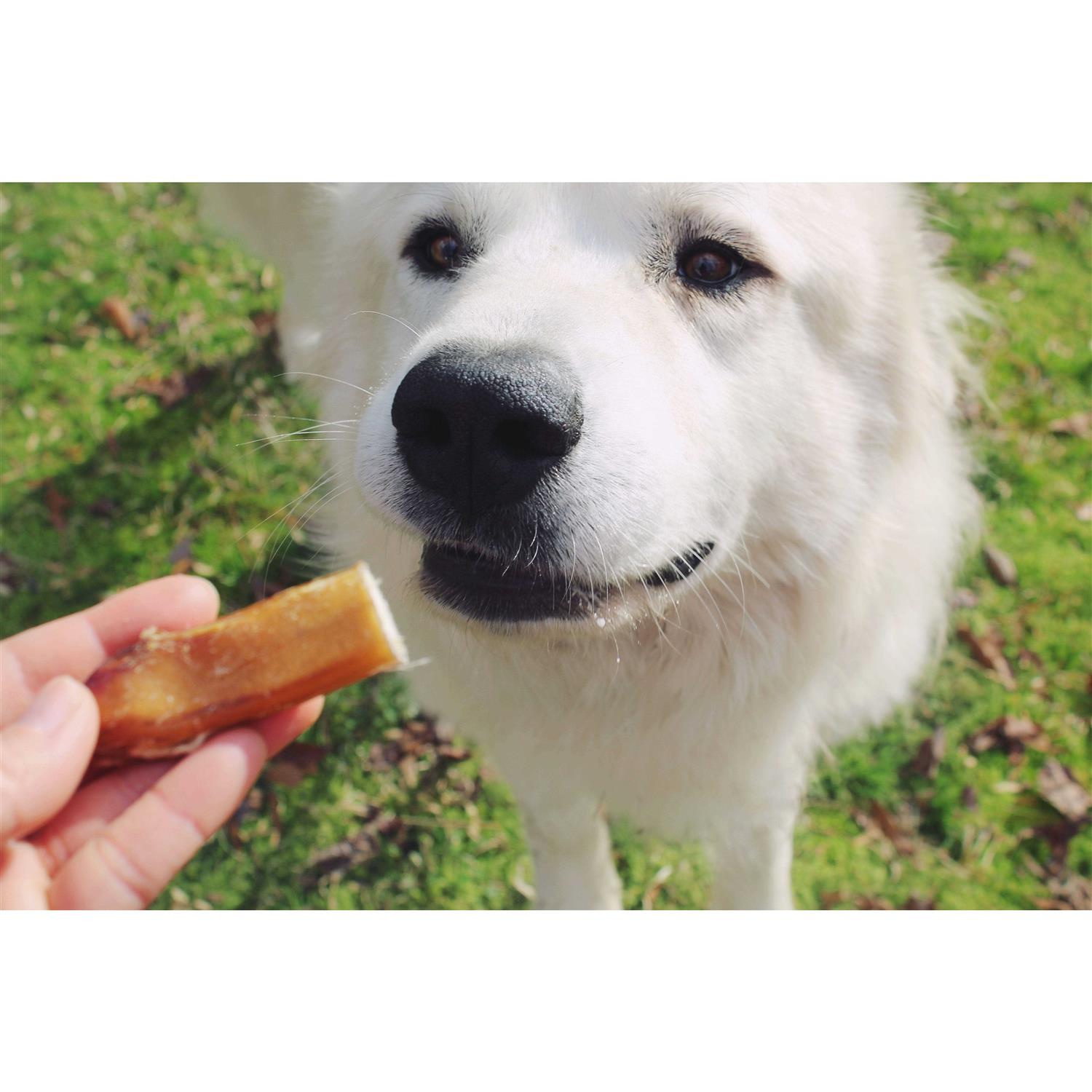 Redbarn Bully Bites - Nail Gallerys