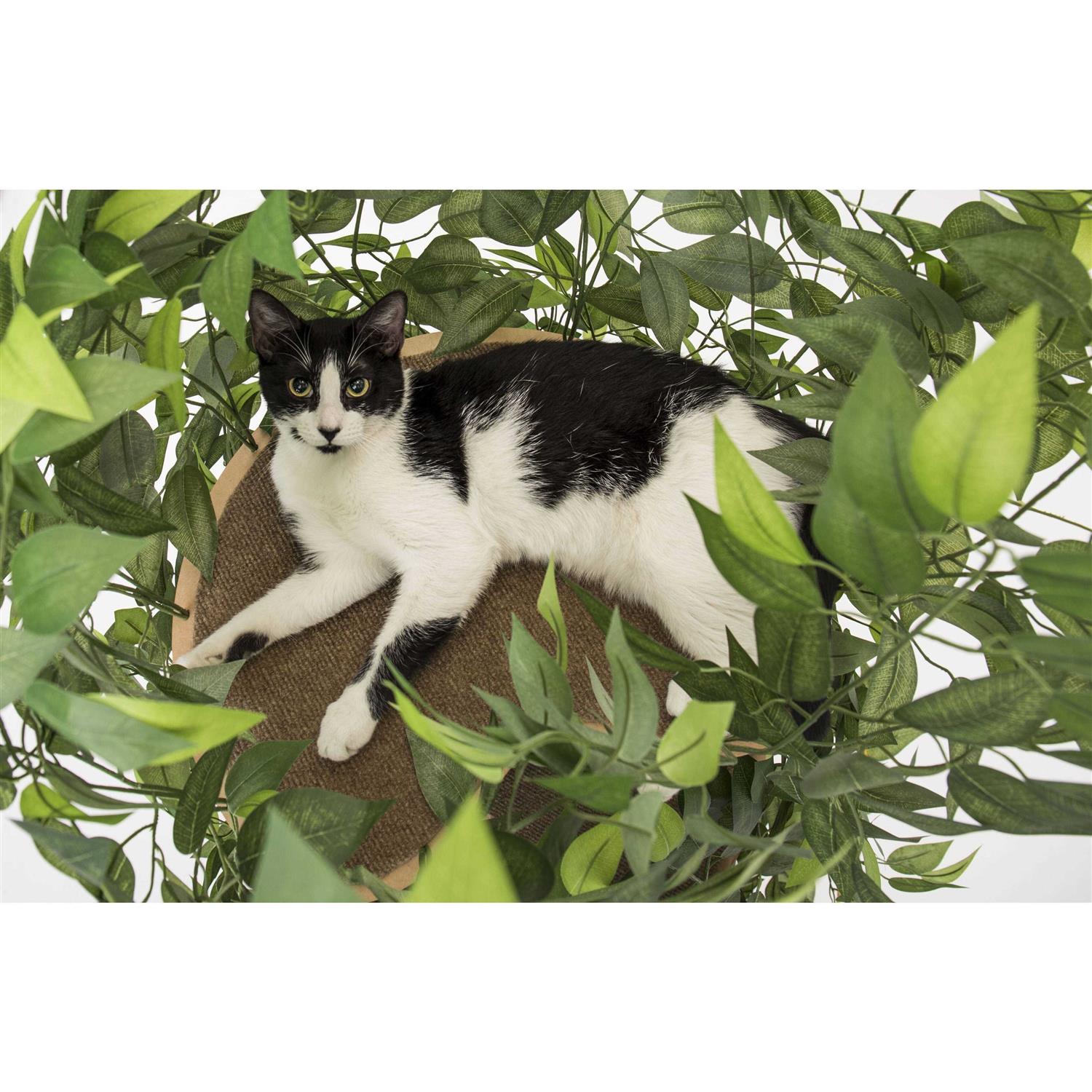 On2Pets Cat Tree with Leaves Cat House & Cat Activity Tree - Nail Gallerys