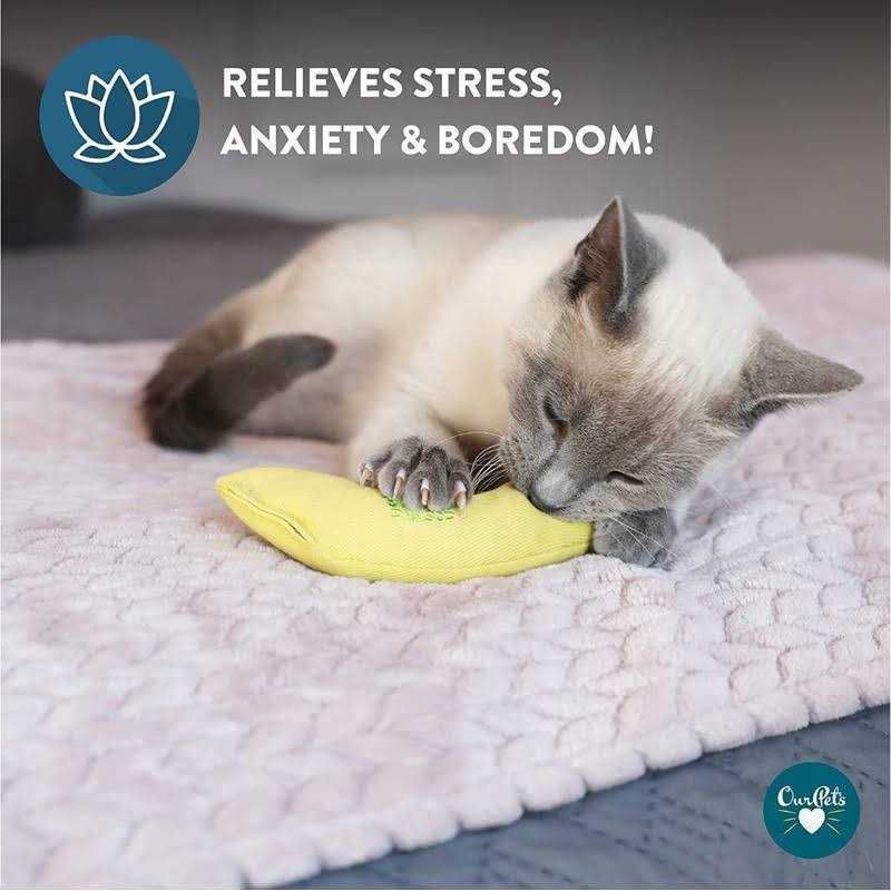 Vibrant Life Catnip Filled Banana Shaped Cat Toy for Cats & Kittens - Nail Gallerys