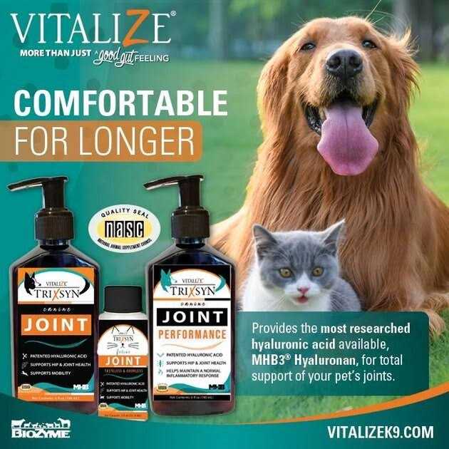 Vitalize Trixsyn Canine Joint Supplement - Nail Gallerys