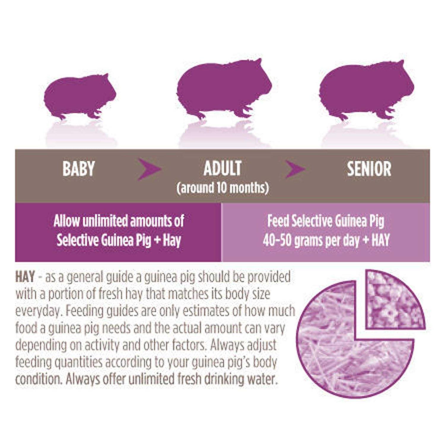 Science Selective Guinea Pig Food - Nail Gallerys