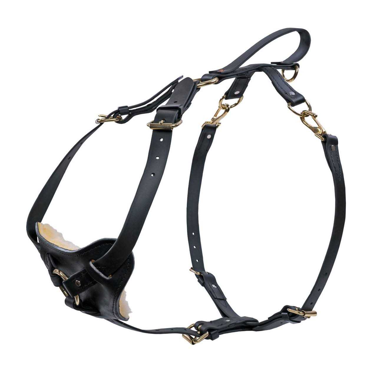 Ray Allen Manufacturing Signature K9 Biothane Multi-Function Harness - Nail Gallerys