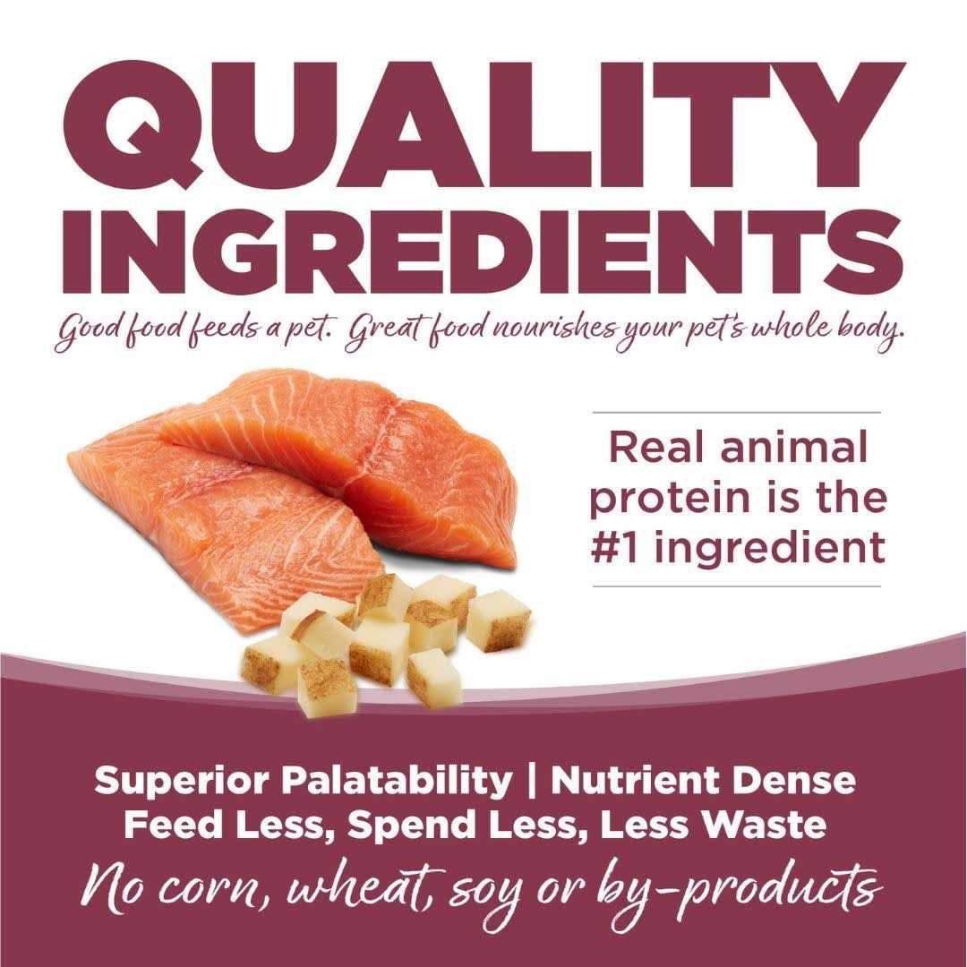 PureVita Salmon Potato Dry Dog Food - Nail Gallerys