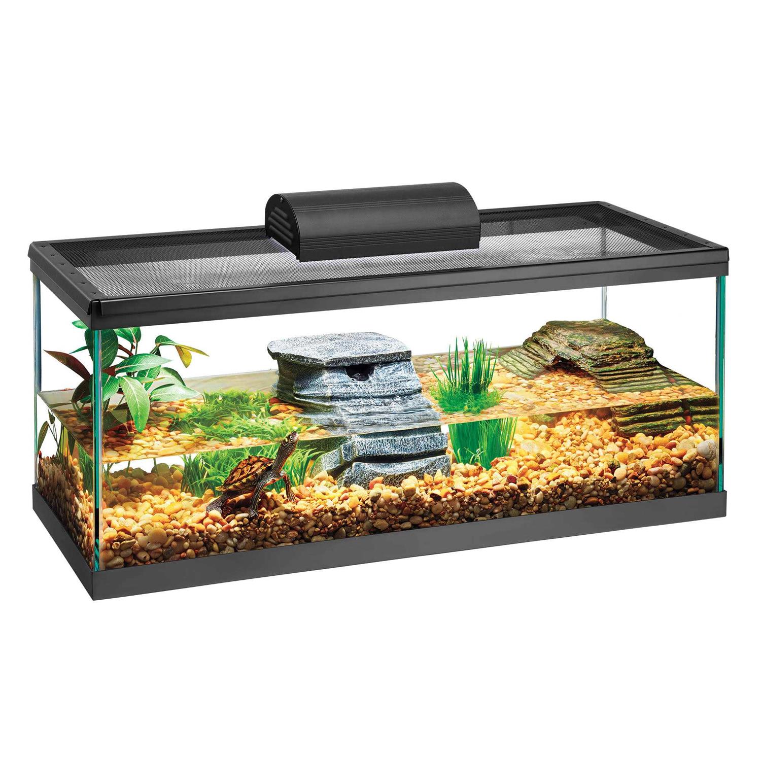 Aqueon Aquarium Tank - Nail Gallerys