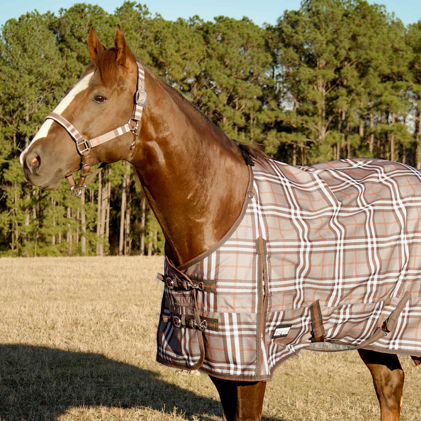 Poplar Head Refuge 1200 Denier Turnout Blanket, 240 Gram, Plymouth Brown Plaid - Nail Gallerys