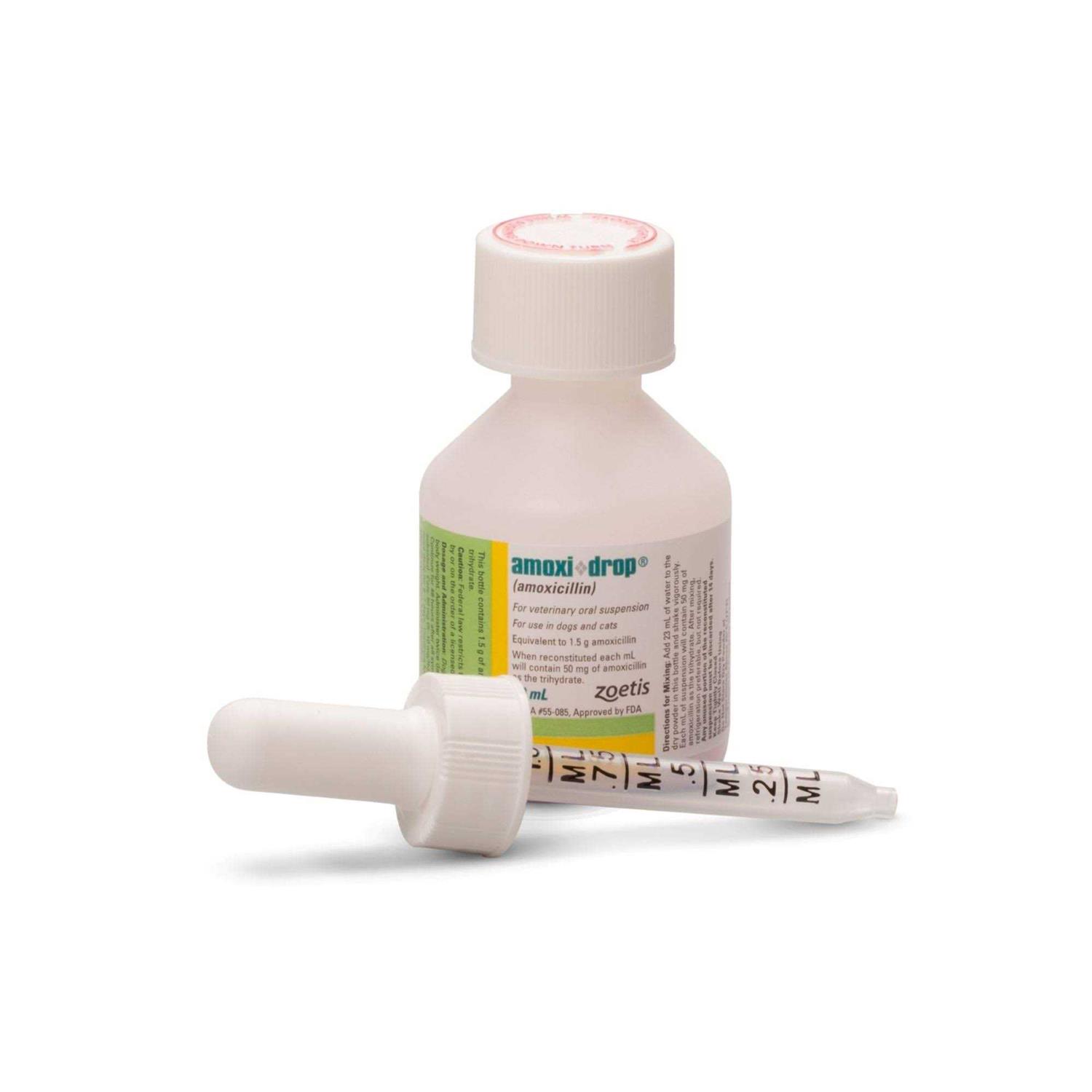 Amoxi Drop Oral Suspension 30ML - Nail Gallerys