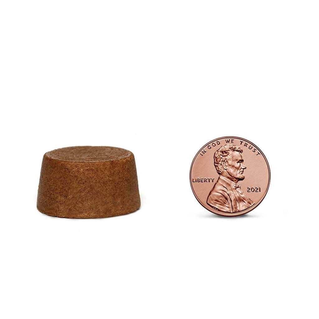 Bravecto Chew for Dogs - Nail Gallerys