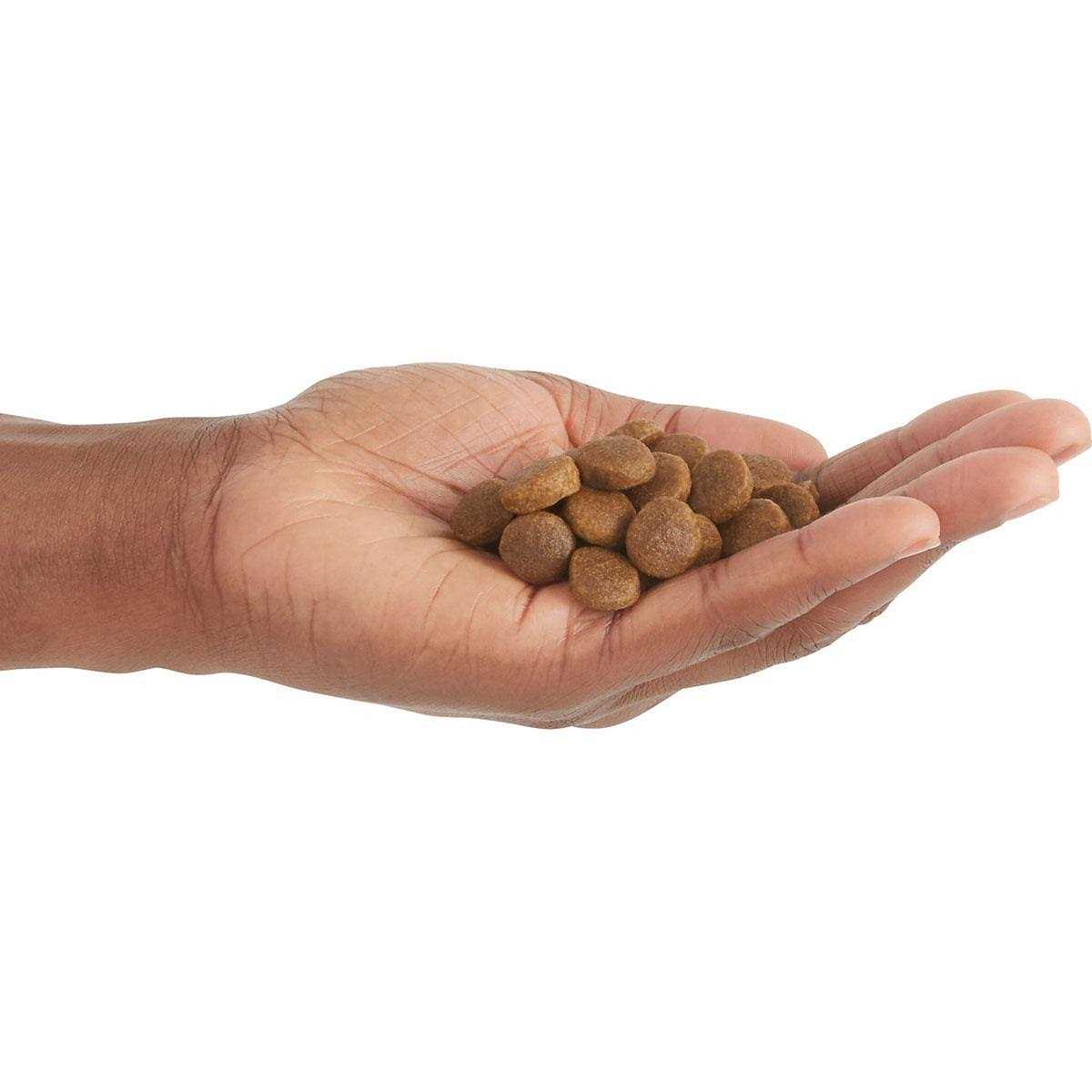 Acana Free-Run Poultry Dry Dog Food - Nail Gallerys