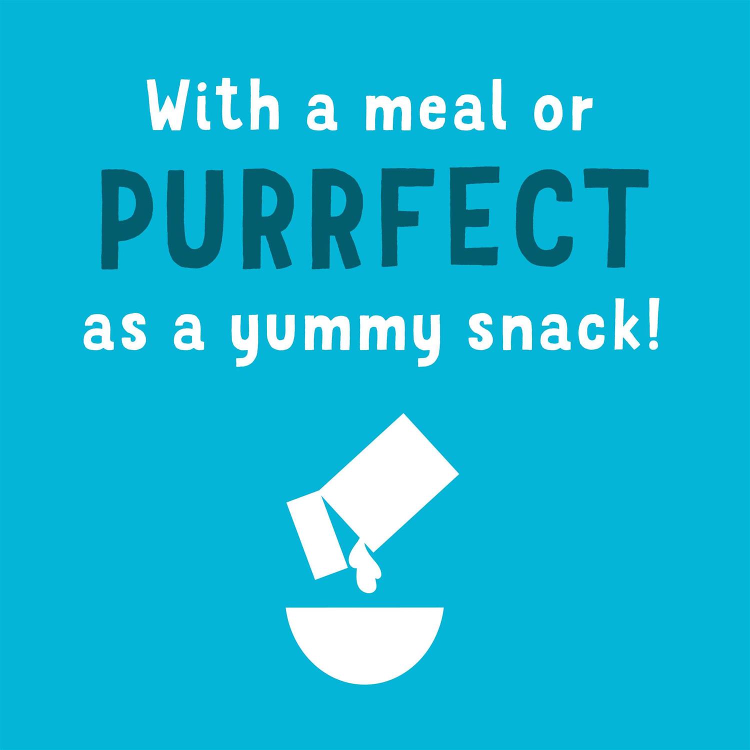 Purina Friskies Gravy Wet Cat Food Complement Variety Pack Lil Grillers Chicken - Nail Gallerys