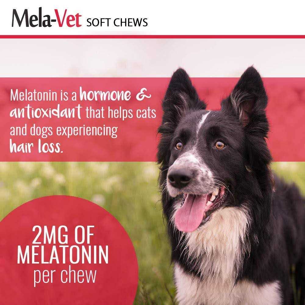 Mela-Vet Melatonin Soft Chews for Dogs & Cats - Nail Gallerys