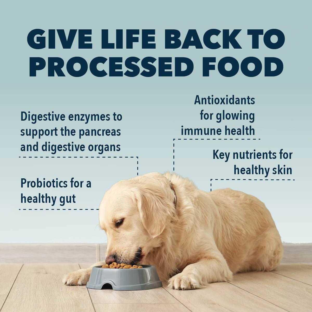 Four Leaf Rover Kibble Fixer Dog Food Topper - Nail Gallerys