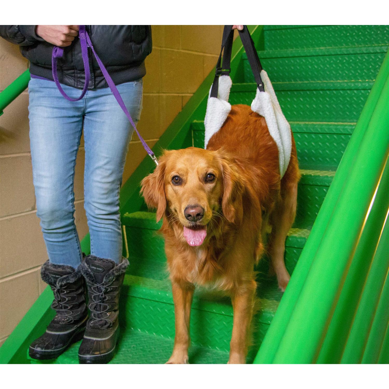 Labra Dog Veterinarian Approved Plush Soft Canine Sling Adjustable Straps - Nail Gallerys