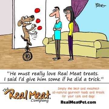 Real Meat Dog Jerky Treats Lamb - Nail Gallerys