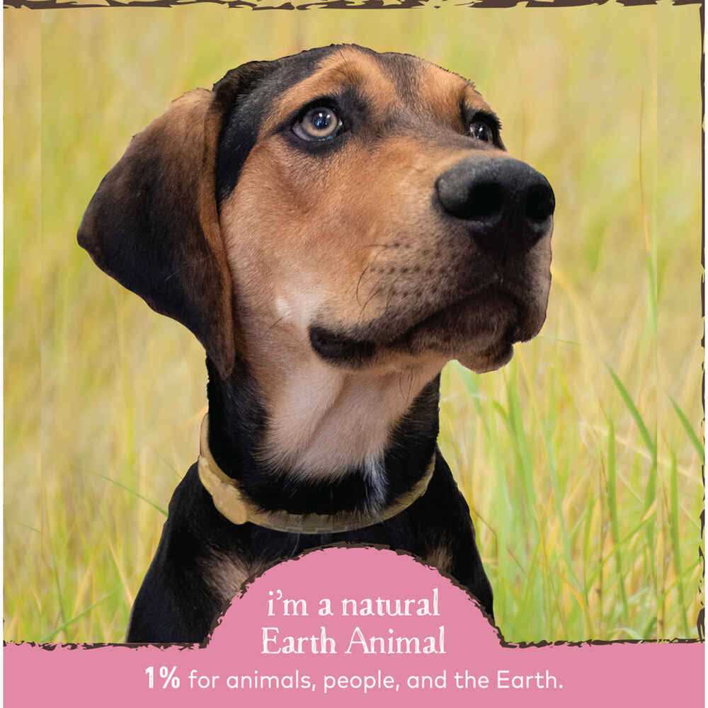 Earth Animal Herbal Flea & Tick Collar for Cats - Nail Gallerys