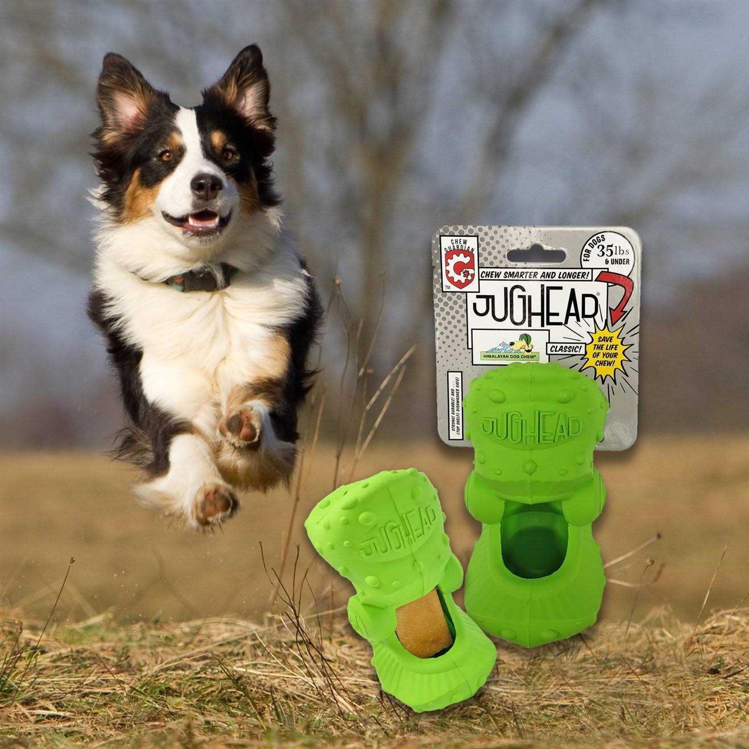 Himalayan Dog Chew Jughead Classic Dog Toy - Nail Gallerys