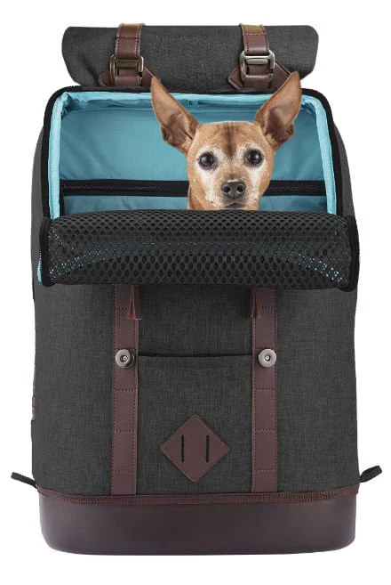 Kurgo K9 Rucksack Pet Carrier - Nail Gallerys