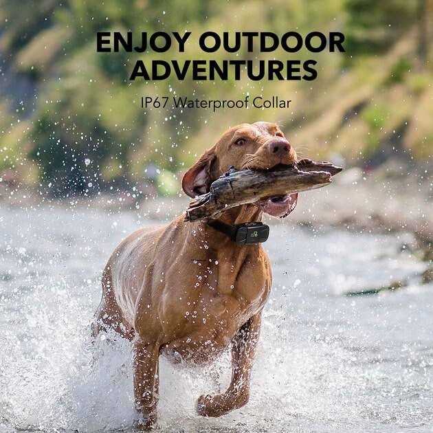 Dogcare TC-System-11 Dog Training System - Nail Gallerys