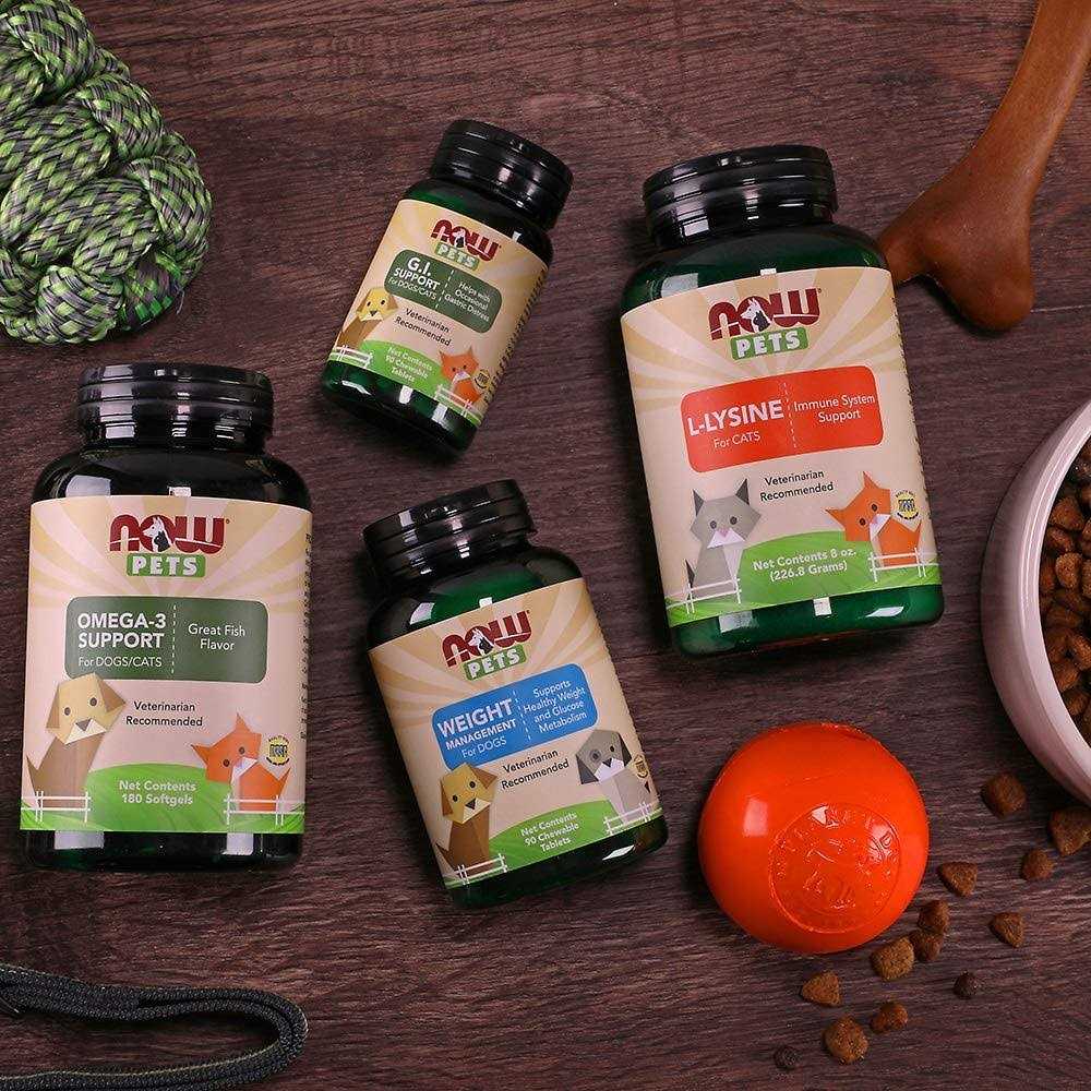 Now Cardiovascular Support for Dogs & Cats - Nail Gallerys