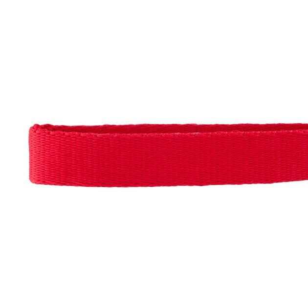 GoTags Nylon Personalized Dog Collar - Nail Gallerys