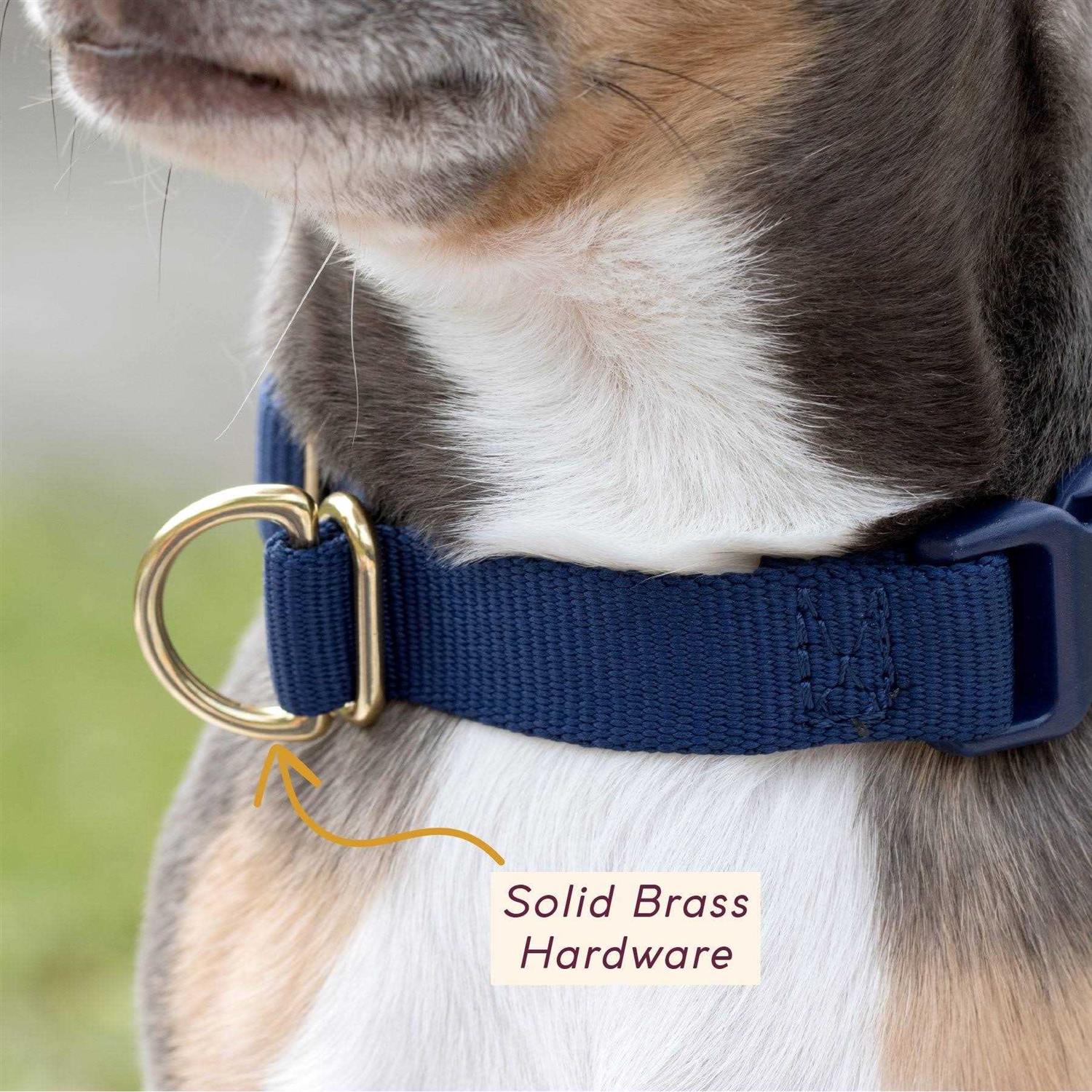 Awoo Pack Standard Dog Collar - Nail Gallerys