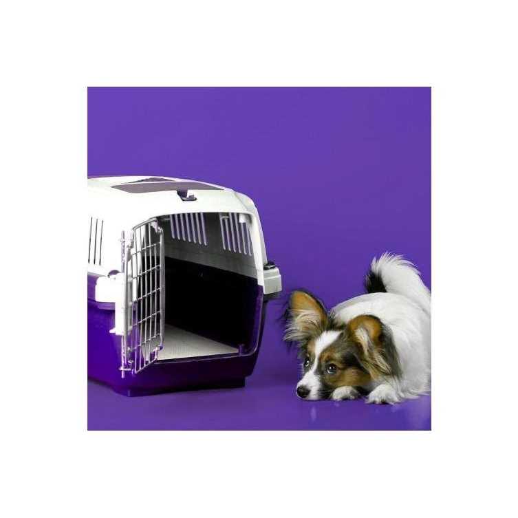 Simple Solution 6-Layer All Day Premium Dog Pads - Nail Gallerys