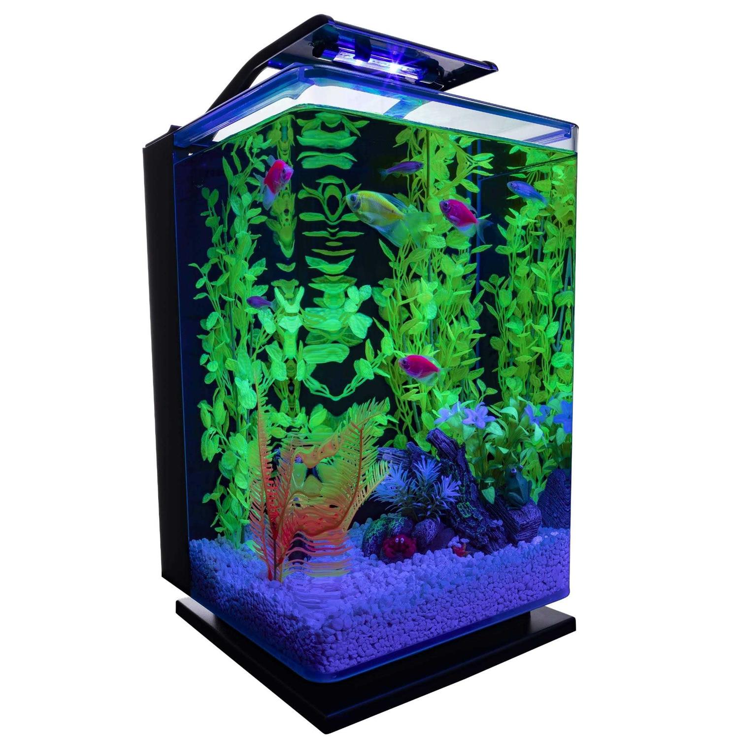 GloFish Aquarium Kit - Nail Gallerys