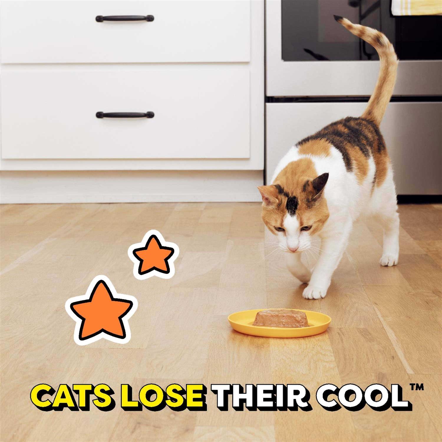 Temptations Tasty Chicken Flavor Gravy Wet Cat Food - Nail Gallerys