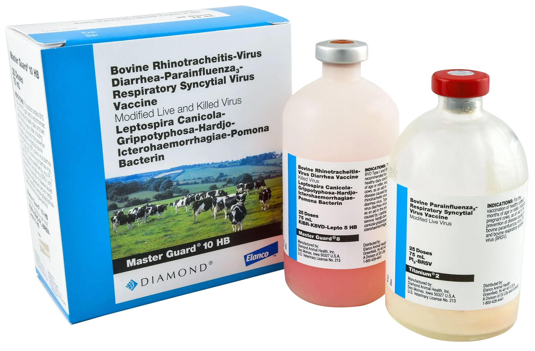 Master Guard 10 HB - Nail Gallerys